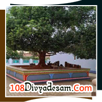 vadanadu divya desam tours from guruvayur